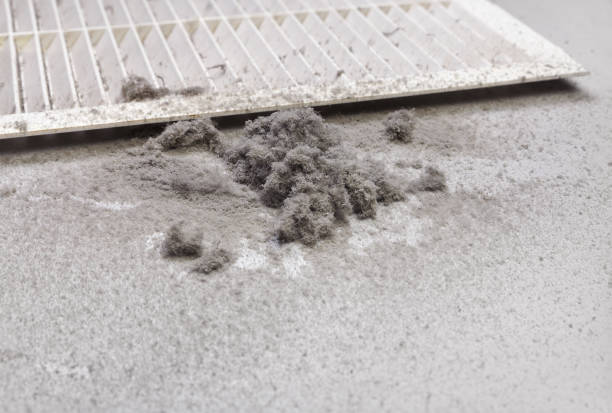 Best Air Vent Cleaning Services  in Fairport, NY